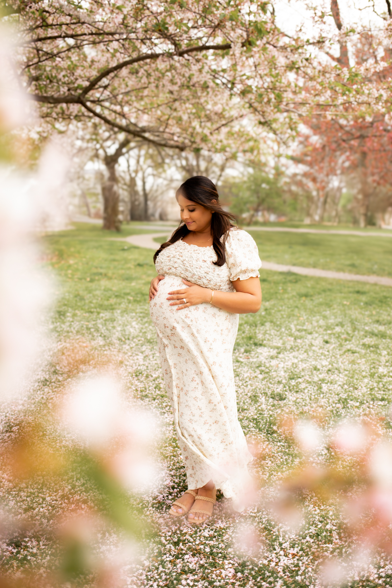 expecting mother during cherry blossom maternity family photo session in nassau